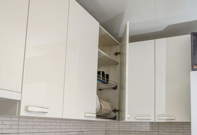 Kitchen Shelving Installation in Carmel, IN